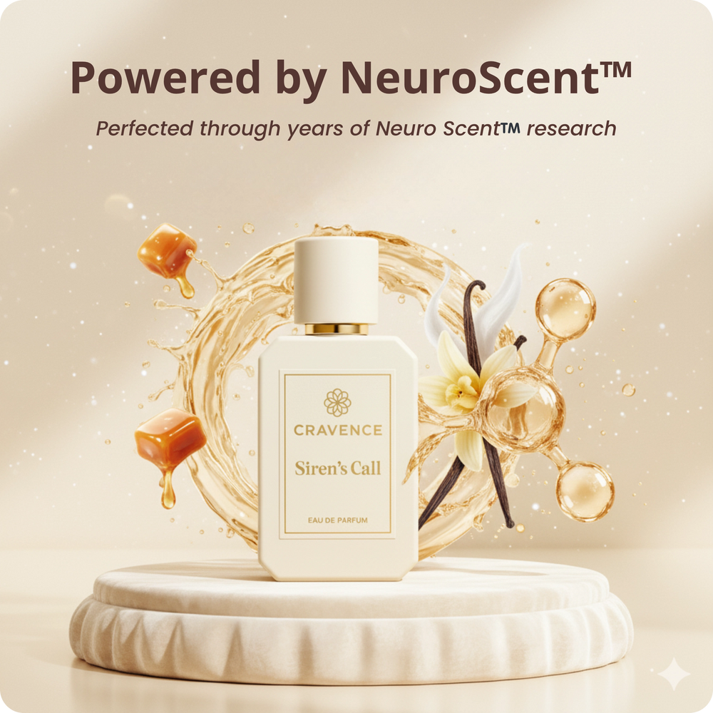 Image de présentation